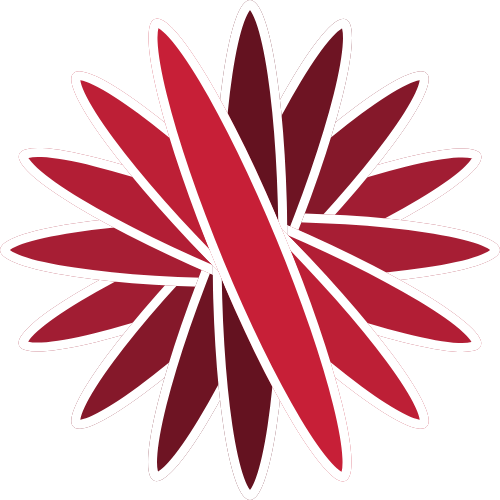saltjsx logo