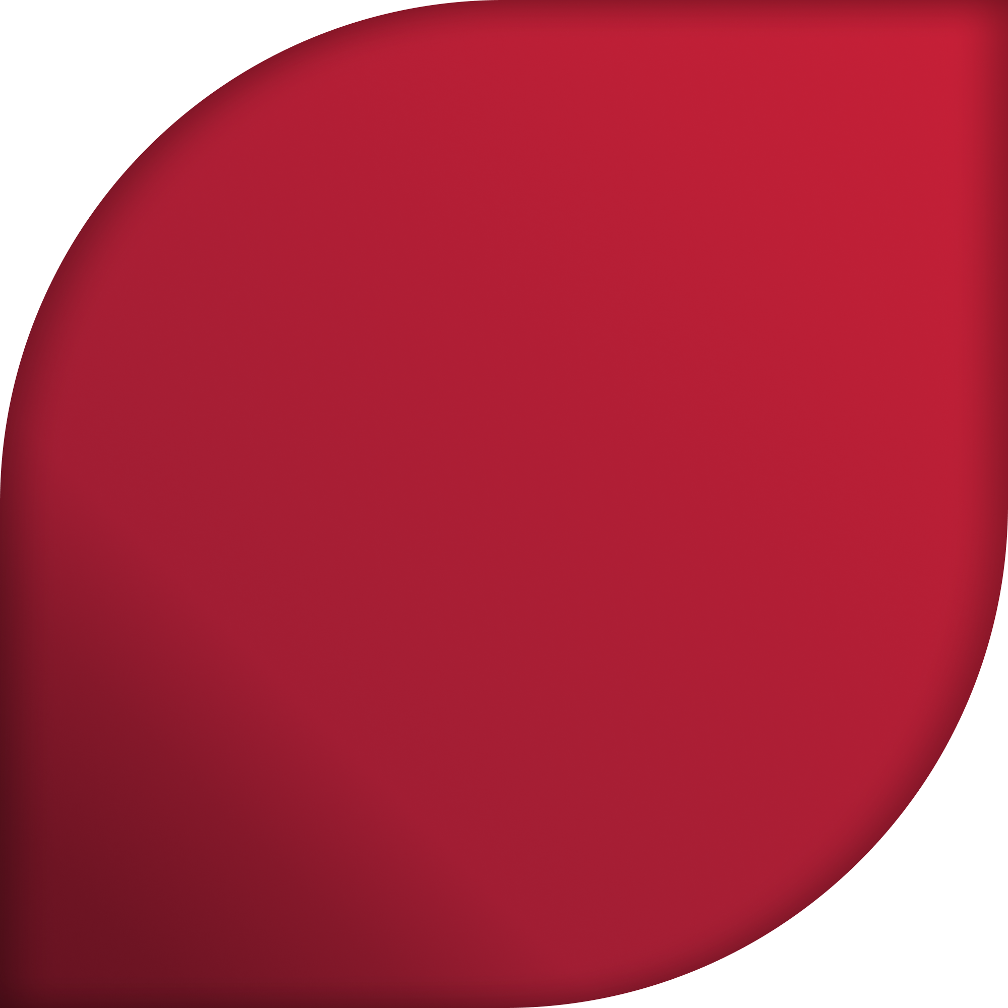 salt logo